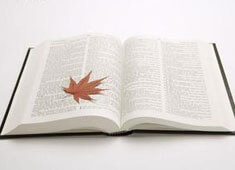 德国克难赢科索沃，晋级前景料惨变